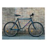 Giant Sierra Hybrid Bike